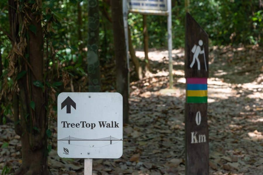 Singapore - Macritchie Reservoir - TreeTop Walk