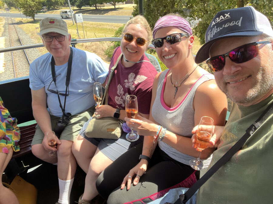 franschhoek wine tram experience, cape town, south africa